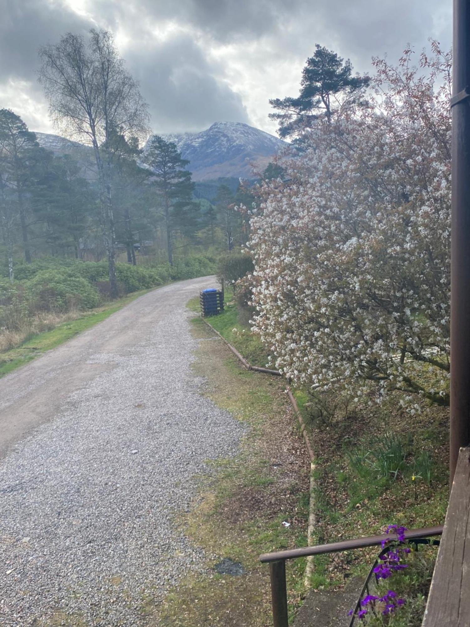 Kingswood Lodges Fort William Eksteriør billede